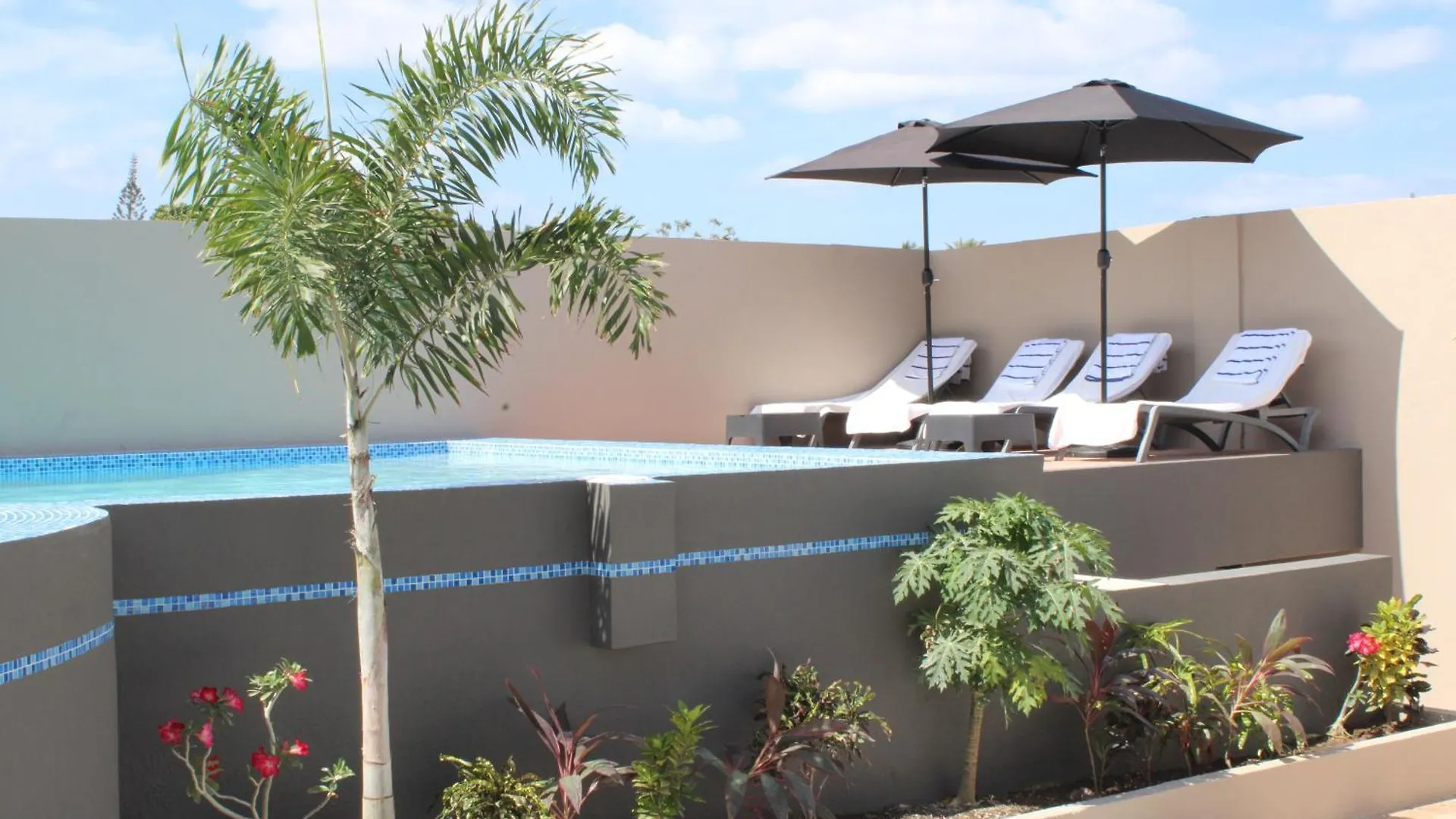 Hotel Island House Near Curacao International Airport Cur Willemstad