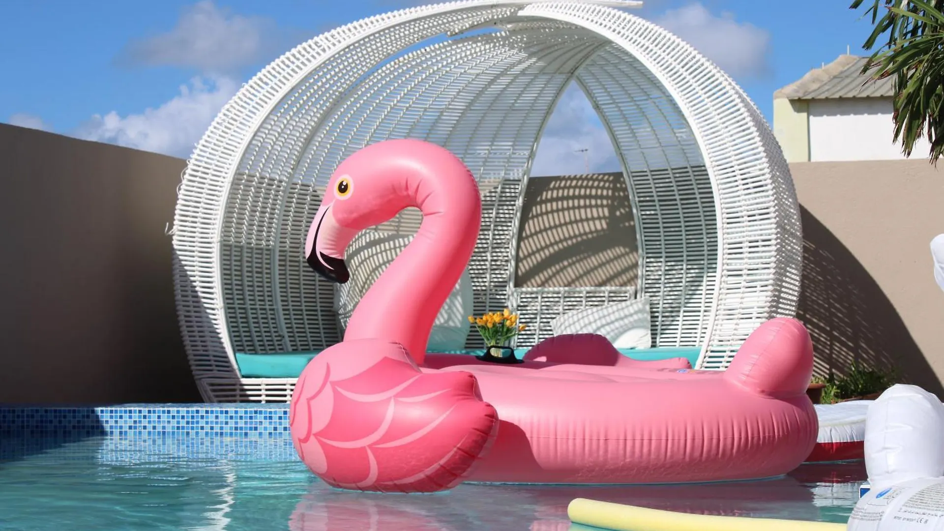 بيت ضيافة فندق Island House Near Curacao International Airport Cur يلمستاد كوراساو